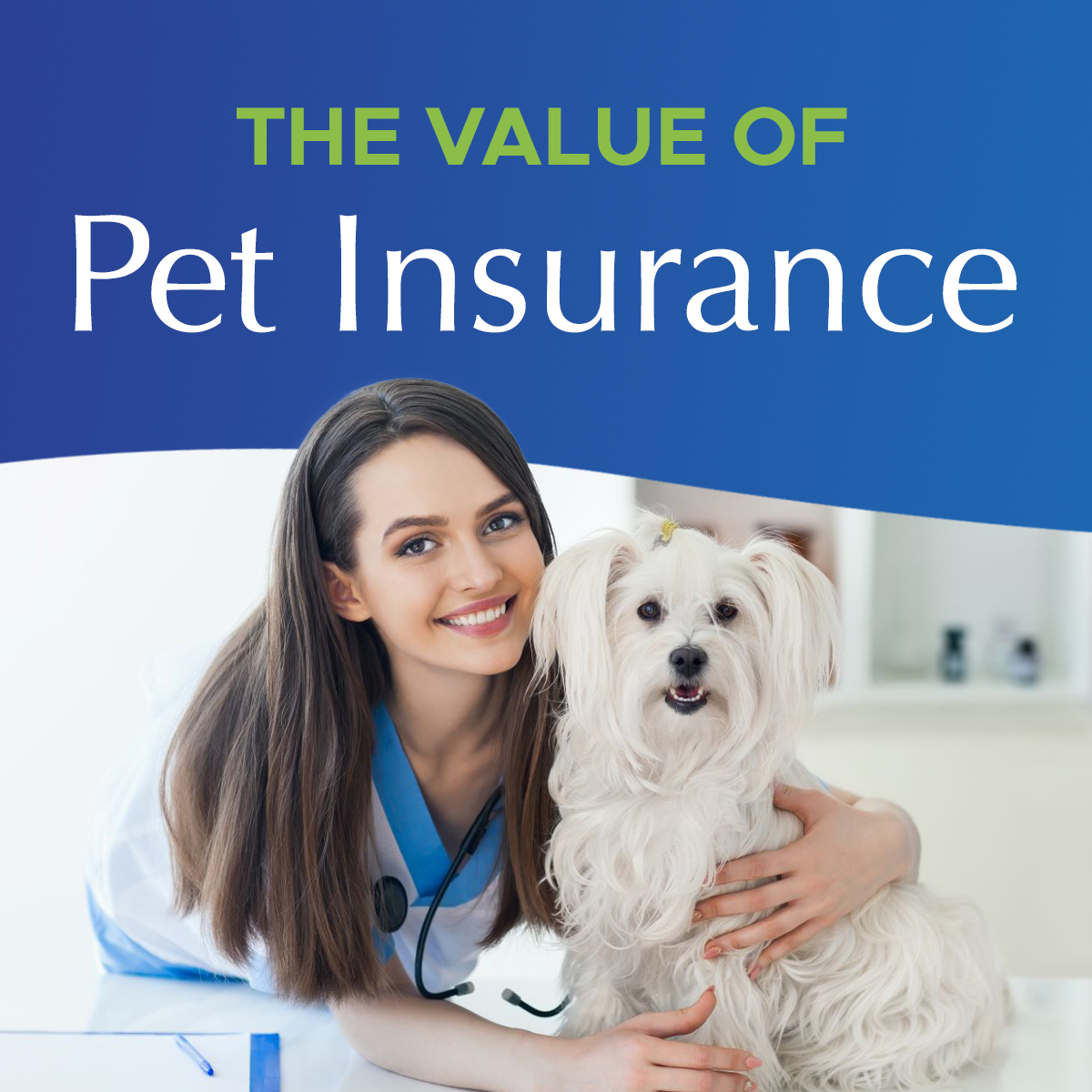 The Value Of Pet Insurance - Dog Days Of West Hartford